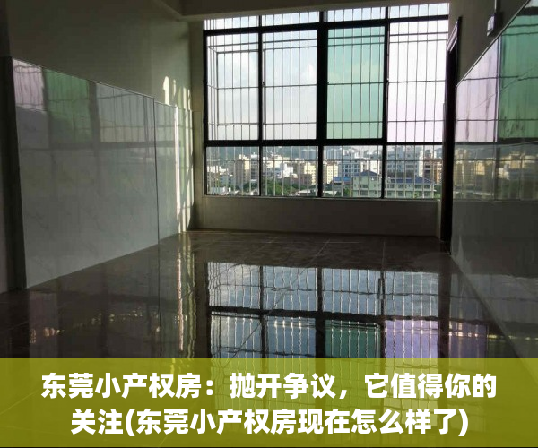 东莞小产权房：抛开争议，它值得你的关注(东莞小产权房现在怎么样了)