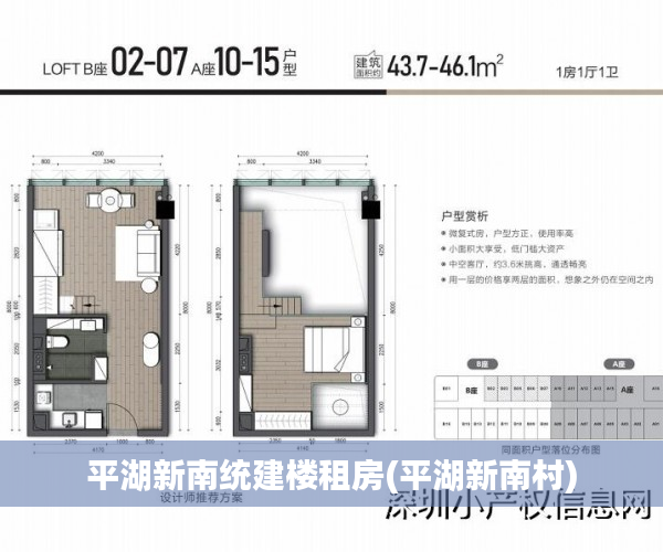 平湖新南统建楼租房(平湖新南村)