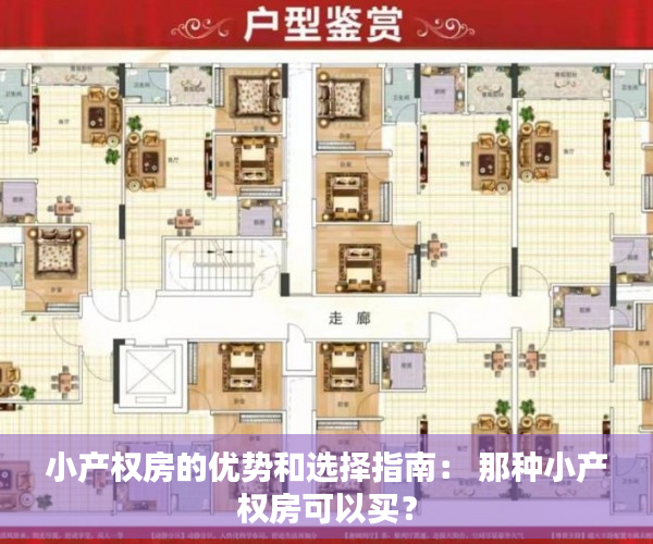 小产权房的优势和选择指南： 那种小产权房可以买？