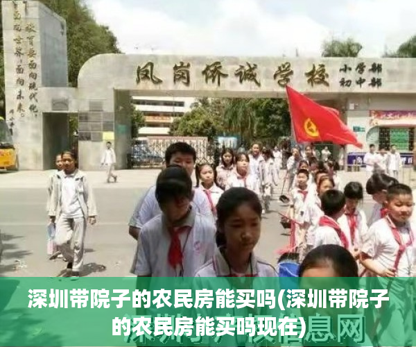 深圳带院子的农民房能买吗(深圳带院子的农民房能买吗现在)