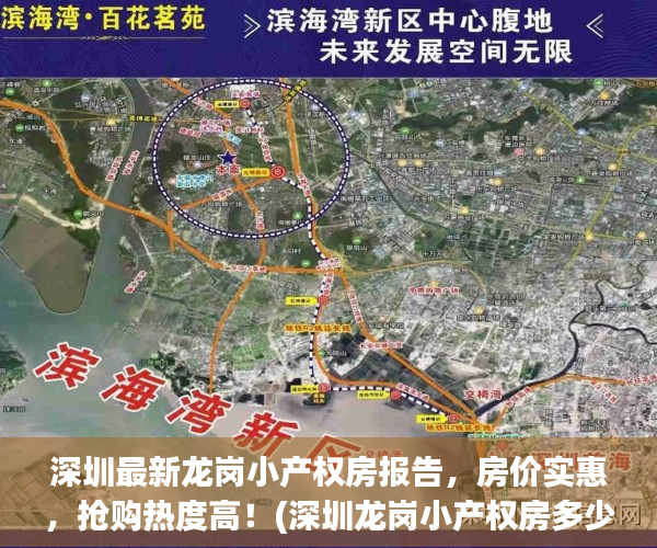 深圳最新龙岗小产权房报告，房价实惠，抢购热度高！(深圳龙岗小产权房多少钱一平方)