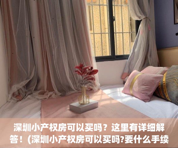 深圳小产权房可以买吗？这里有详细解答！(深圳小产权房可以买吗?要什么手续?)