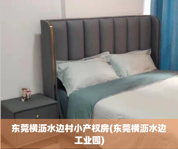 东莞横沥水边村小产权房(东莞横沥水边工业园) 东莞横沥水边村小产权房(东莞横沥水边工业园)
