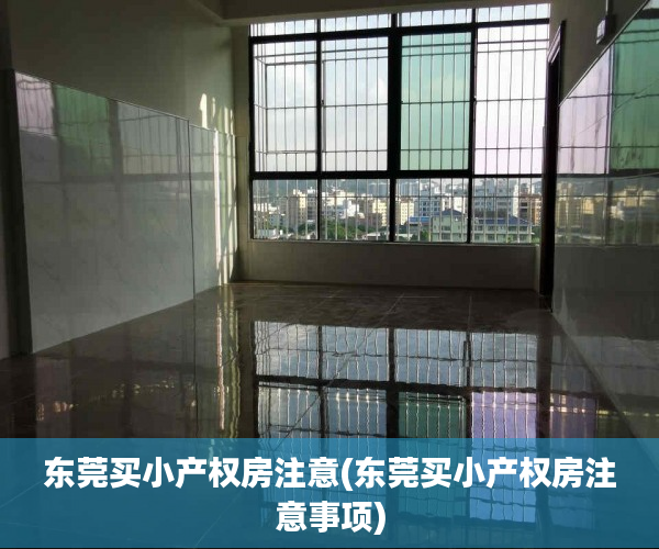 东莞买小产权房注意(东莞买小产权房注意事项) 东莞买小产权房注意(东莞买小产权房注意事项)