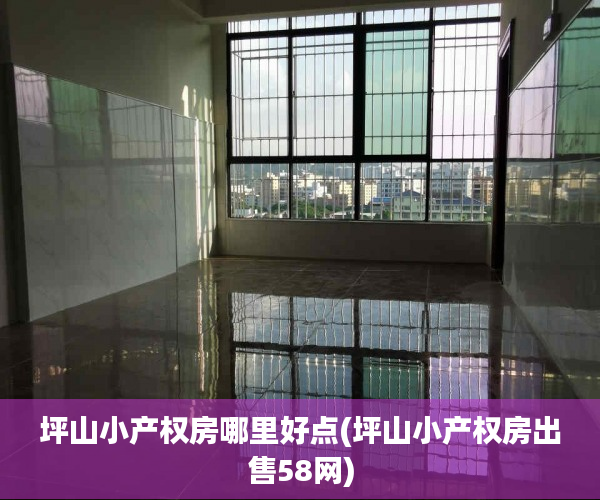 坪山小产权房哪里好点(坪山小产权房出售58网) 坪山小产权房哪里好点(坪山小产权房出售58网)