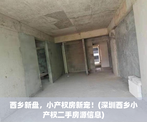 西乡新盘，小产权房新宠！(深圳西乡小产权二手房源信息)