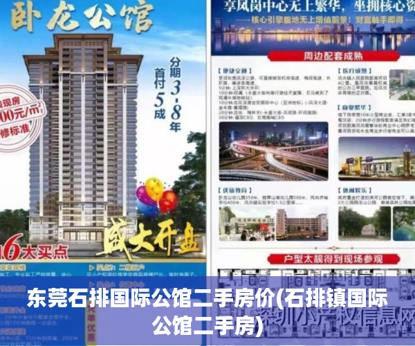 东莞石排国际公馆二手房价(石排镇国际公馆二手房)