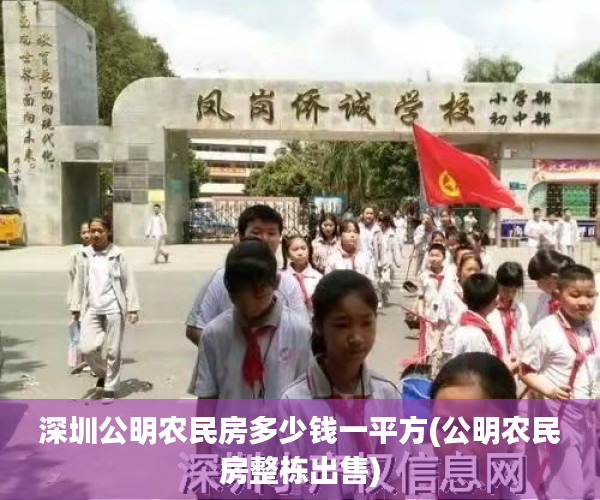 深圳公明农民房多少钱一平方(公明农民房整栋出售) 深圳公明农民房多少钱一平方(公明农民房整栋出售)