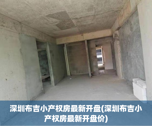 深圳布吉小产权房最新开盘(深圳布吉小产权房最新开盘价)