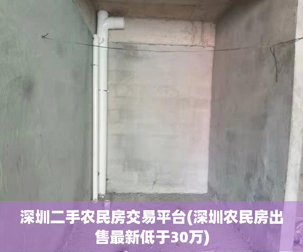 深圳二手农民房交易平台(深圳农民房出售最新低于30万)