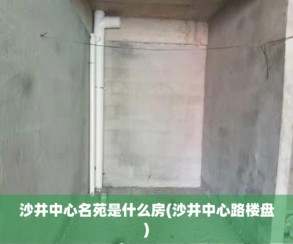 沙井中心名苑是什么房(沙井中心路楼盘)