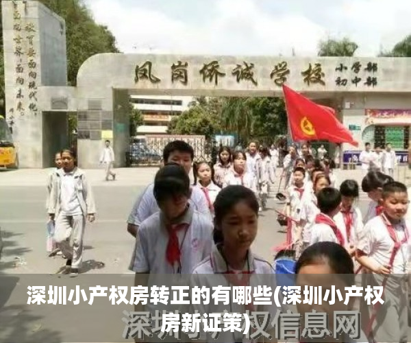 深圳小产权房转正的有哪些(深圳小产权房新证策)