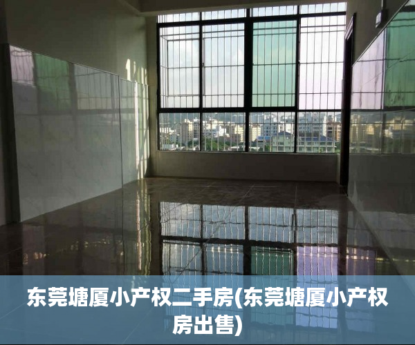东莞塘厦小产权二手房(东莞塘厦小产权房出售) 东莞塘厦小产权二手房(东莞塘厦小产权房出售)