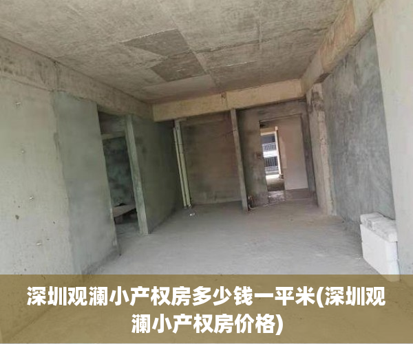深圳观澜小产权房多少钱一平米(深圳观澜小产权房价格)