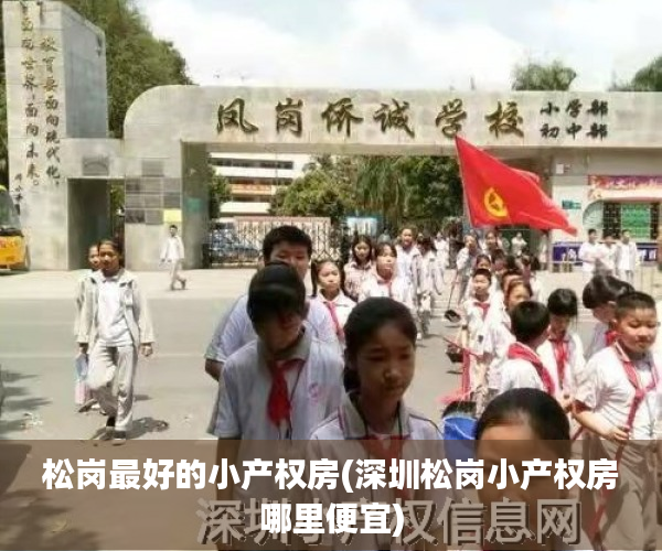 松岗最好的小产权房(深圳松岗小产权房哪里便宜)