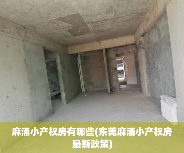 麻涌小产权房有哪些(东莞麻涌小产权房最新政策) 麻涌小产权房有哪些(东莞麻涌小产权房最新政策)