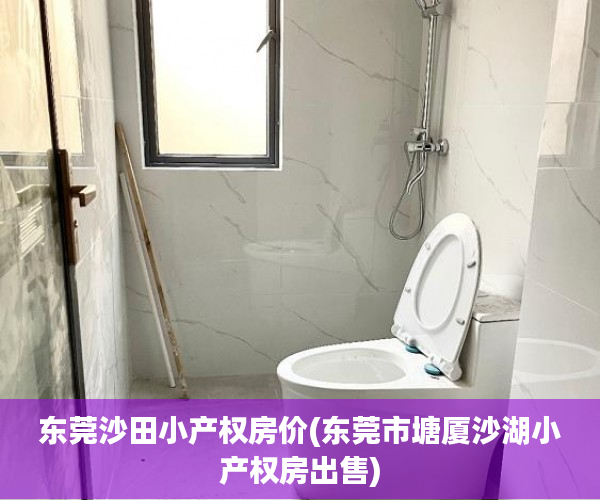 东莞沙田小产权房价(东莞市塘厦沙湖小产权房出售) 东莞沙田小产权房价(东莞市塘厦沙湖小产权房出售)