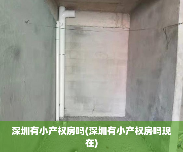 深圳有小产权房吗(深圳有小产权房吗现在) 深圳有小产权房吗(深圳有小产权房吗现在)