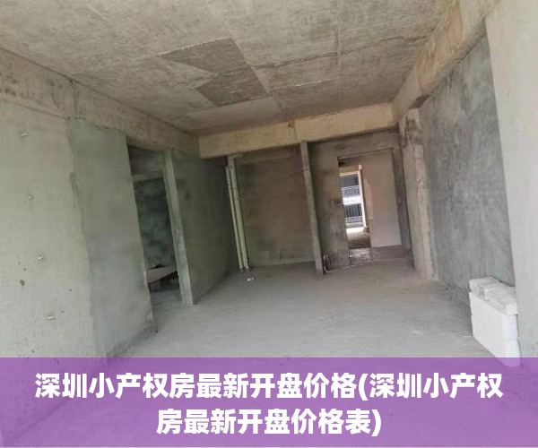 深圳小产权房最新开盘价格(深圳小产权房最新开盘价格表)