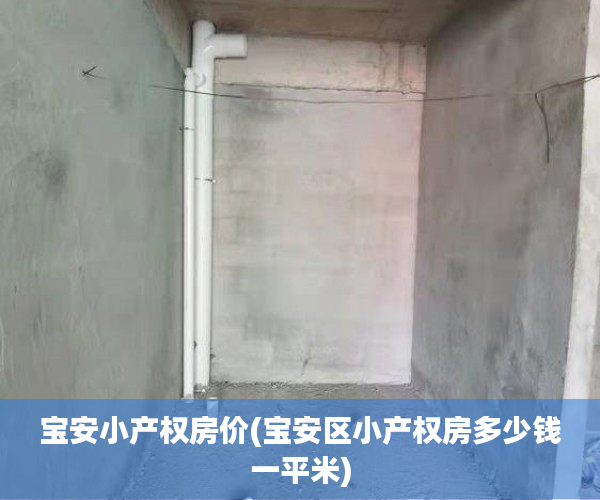 宝安小产权房价(宝安区小产权房多少钱一平米)