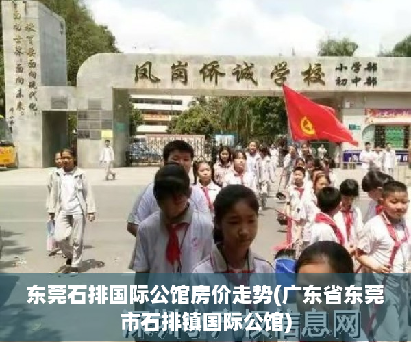 东莞石排国际公馆房价走势(广东省东莞市石排镇国际公馆)