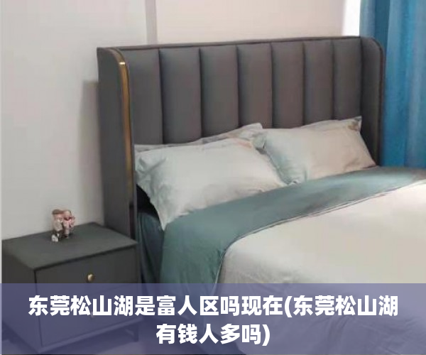 东莞松山湖是富人区吗现在(东莞松山湖有钱人多吗)