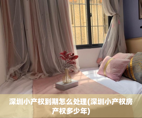 深圳小产权到期怎么处理(深圳小产权房产权多少年)