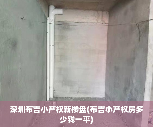 深圳布吉小产权新楼盘(布吉小产权房多少钱一平)