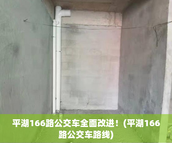 平湖166路公交车全面改进！(平湖166路公交车路线)