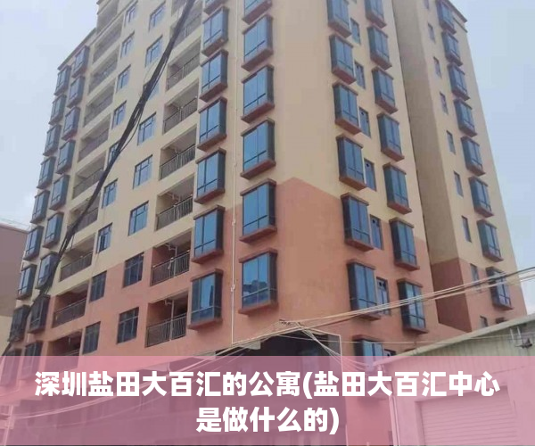 深圳盐田大百汇的公寓(盐田大百汇中心是做什么的) 深圳盐田大百汇的公寓(盐田大百汇中心是做什么的)