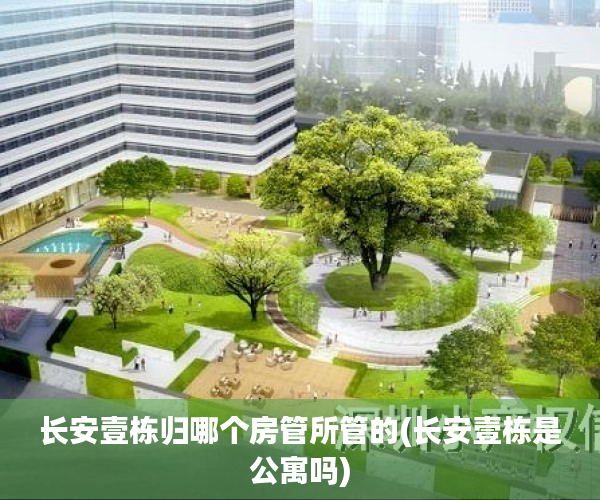 长安壹栋归哪个房管所管的(长安壹栋是公寓吗)