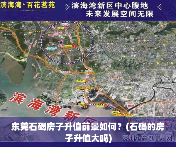 东莞石碣房子升值前景如何？(石碣的房子升值大吗)