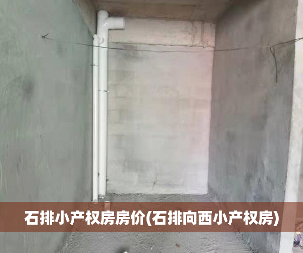 石排小产权房房价(石排向西小产权房) 石排小产权房房价(石排向西小产权房)
