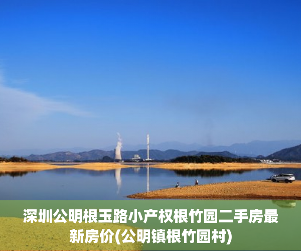 深圳公明根玉路小产权根竹园二手房最新房价(公明镇根竹园村)