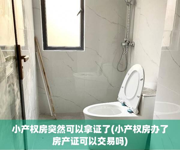 小产权房突然可以拿证了(小产权房办了房产证可以交易吗)