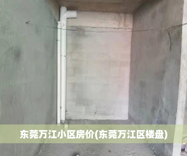 东莞万江小区房价(东莞万江区楼盘) 东莞万江小区房价(东莞万江区楼盘)