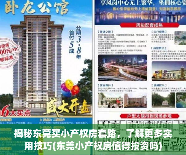 揭秘东莞买小产权房套路，了解更多实用技巧(东莞小产权房值得投资吗)