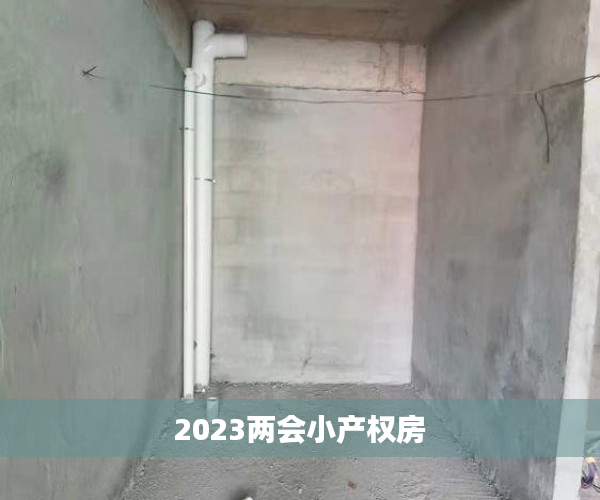 2023两会小产权房 2023两会小产权房