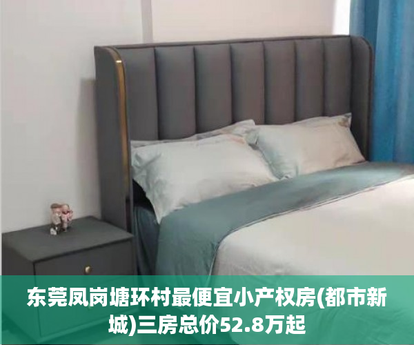 东莞凤岗塘环村最便宜小产权房(都市新城)三房总价52.8万起