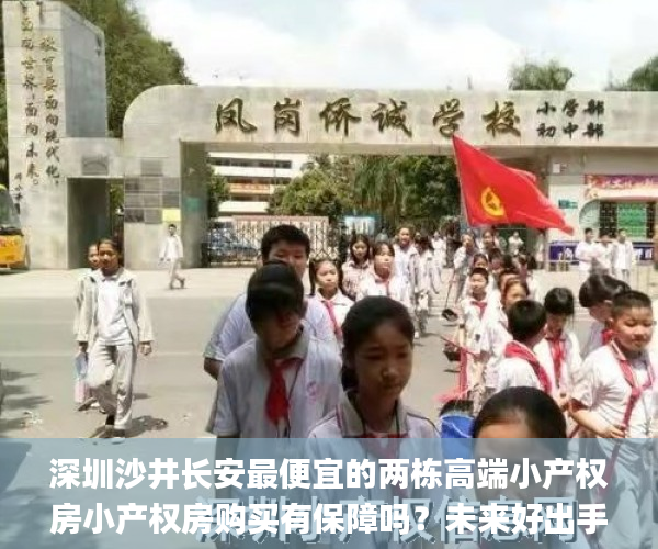深圳沙井长安最便宜的两栋高端小产权房小产权房购买有保障吗？未来好出手吗？  小产权房_深圳沙井小产权房