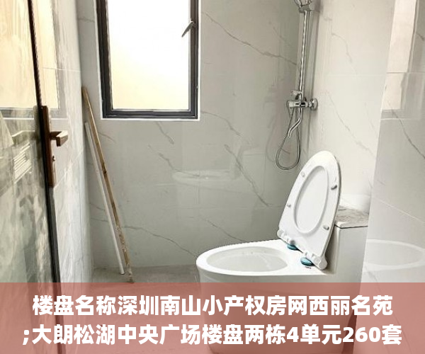 楼盘名称深圳南山小产权房网西丽名苑;大朗松湖中央广场楼盘两栋4单元260套自带双层停车场,全封闭式物业管理本...  深圳小产权房_小产权