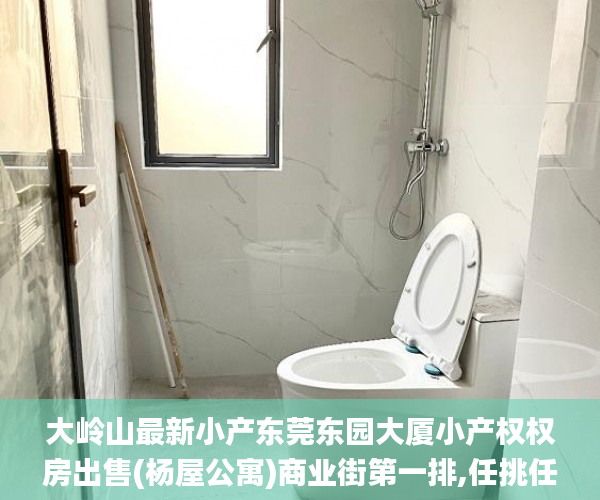 大岭山最新小产东莞东园大厦小产权权房出售(杨屋公寓)商业街第一排,任挑任选两房 32.8万小产权房_商业街
