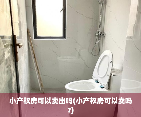 小产权房可以卖出吗(小产权房可以卖吗?) 小产权房可以卖出吗(小产权房可以卖吗?)