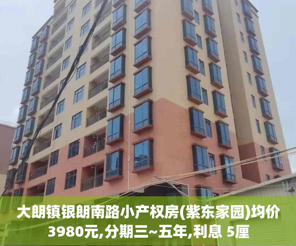 大朗镇银朗南路小产权房(紫东家园)均价3980元,分期三~五年,利息 5厘