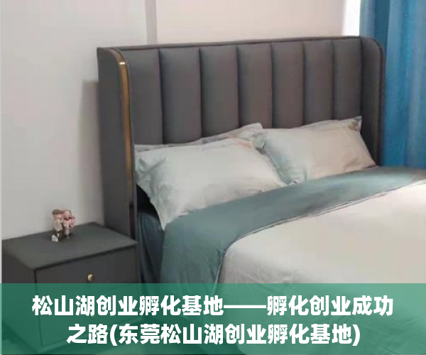 松山湖创业孵化基地——孵化创业成功之路(东莞松山湖创业孵化基地)
