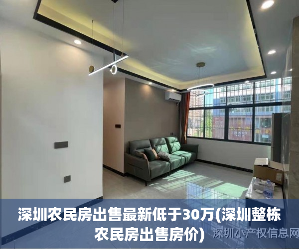 深圳农民房出售最新低于30万(深圳整栋农民房出售房价)