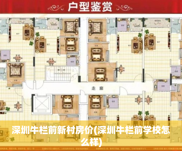 深圳牛栏前新村房价(深圳牛栏前学校怎么样) 深圳牛栏前新村房价(深圳牛栏前学校怎么样)