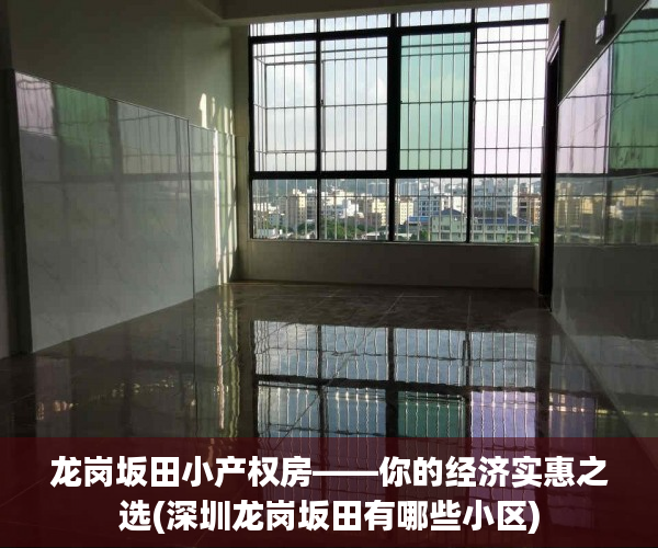 龙岗坂田小产权房——你的经济实惠之选(深圳龙岗坂田有哪些小区)