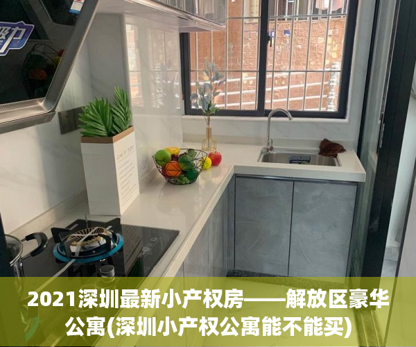 2021深圳最新小产权房——解放区豪华公寓(深圳小产权公寓能不能买)