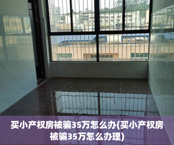 买小产权房被骗35万怎么办(买小产权房被骗35万怎么办理)